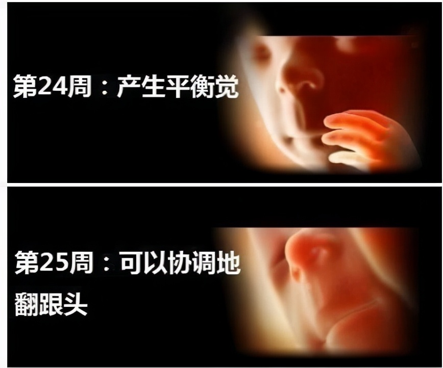 怀孕25周的胎儿和孕妈妈是什么样子的？想知道，直接看就行