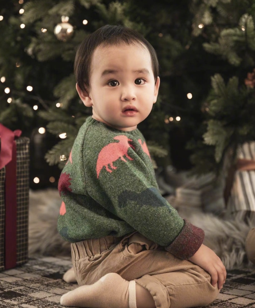 郑嘉颖圣诞节晒全家福，和陈凯琳给儿子们举高高，画面幸福洋溢