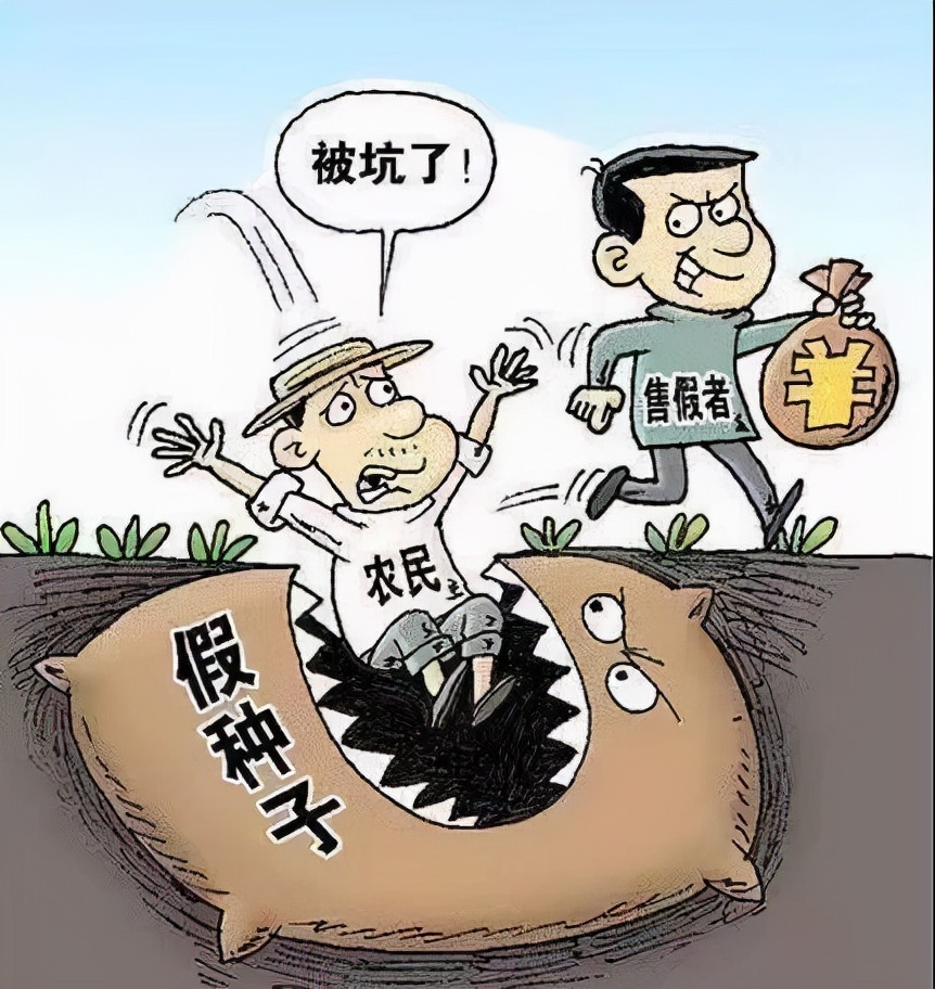 扰乱市场秩序，非法经营玉米种子被判刑