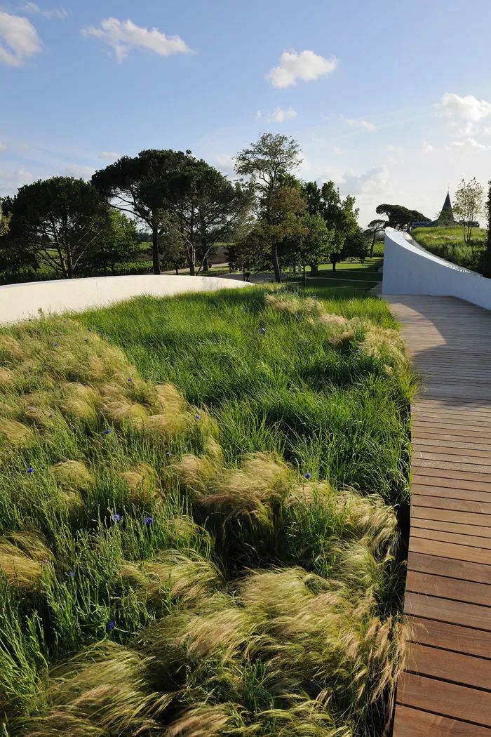 世界10大艺术酒庄