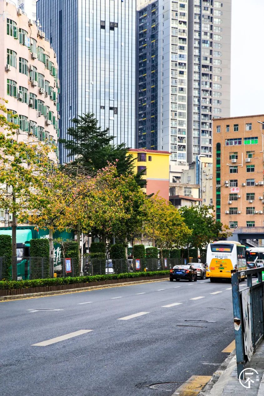 深圳这个不起眼的城中村，盛产学霸？