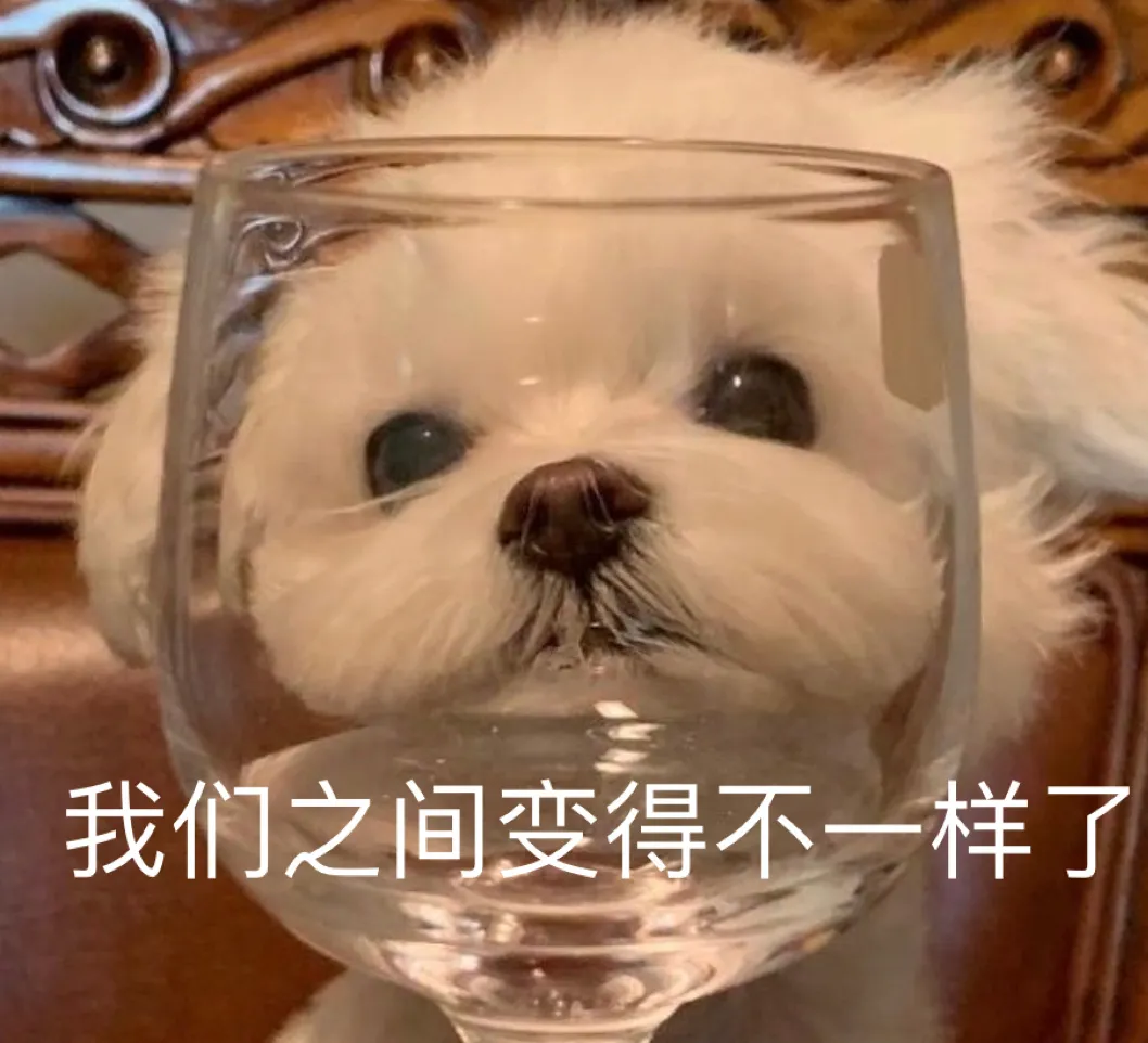 雅思假期培训（寒假备考雅思）