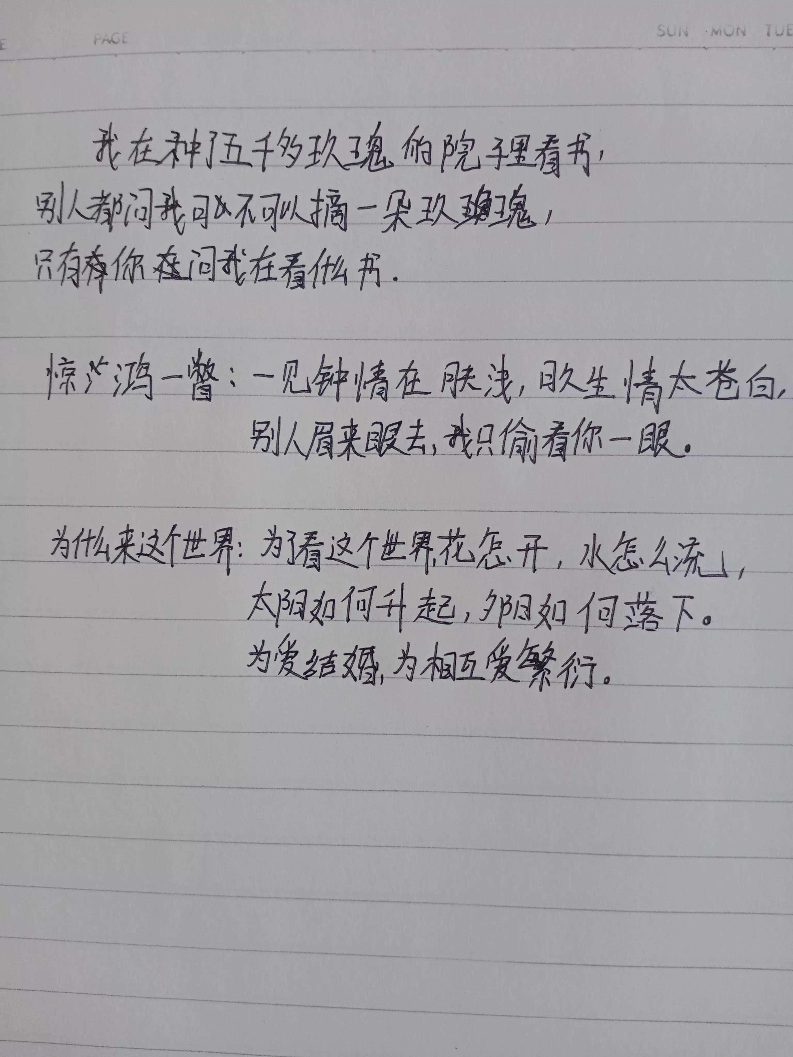 抄优美的句子30字