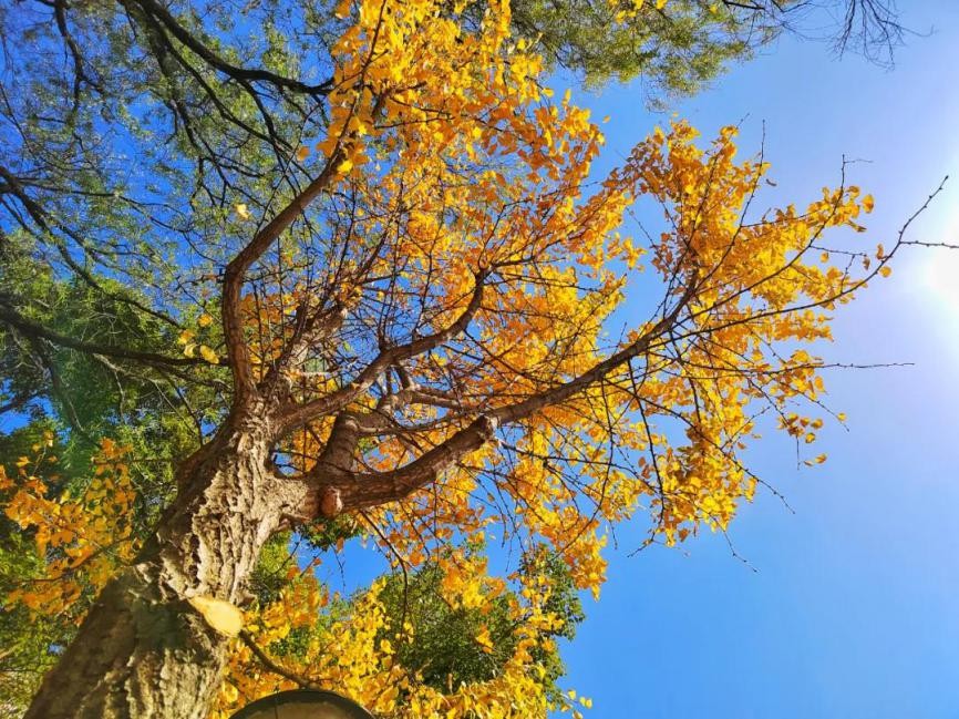中国“织”造：湖北这所大学，让鲜艳的五星红旗闪耀太空