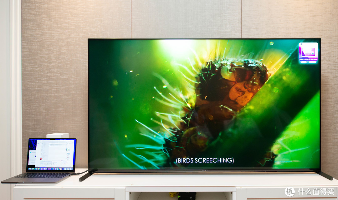 万元内的4k电视不二选择,sony索尼65x95j电视