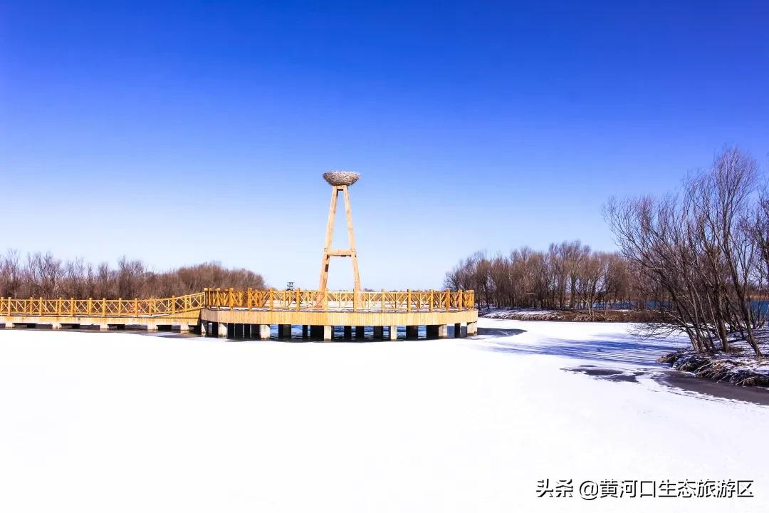 【黄河口生态旅游区】初雪悄临 静谧美好