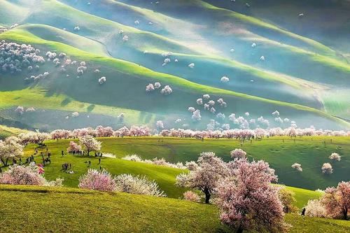 一寸光阴一寸金！高考作文参考范文《时间是试金石》