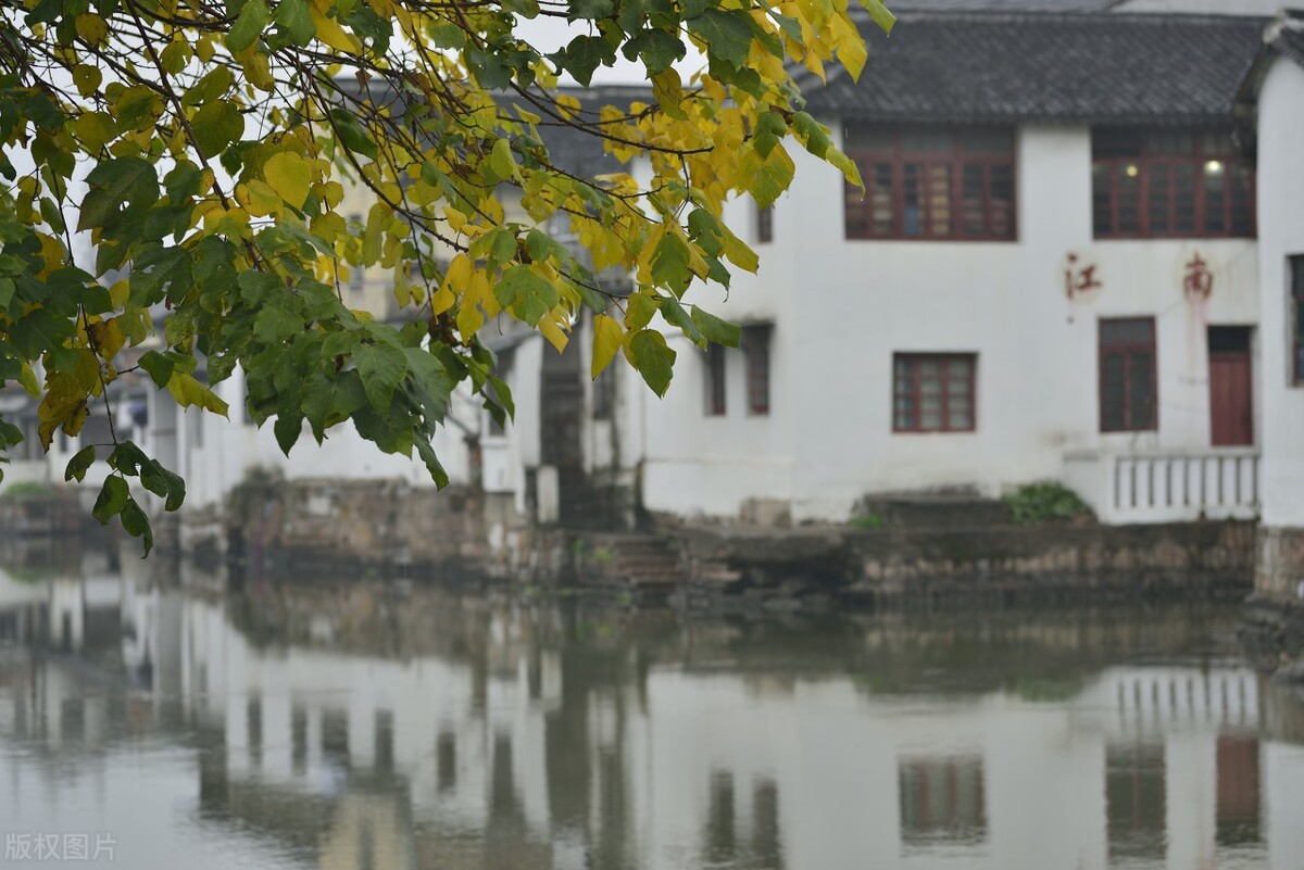 上海金秋去哪玩？必打卡这6个宝藏旅行地，遇见魔都最美的秋色
