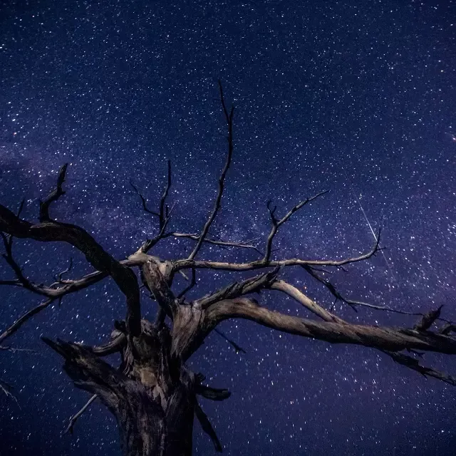 约定！待疫情散去，你我共赏华山美景~