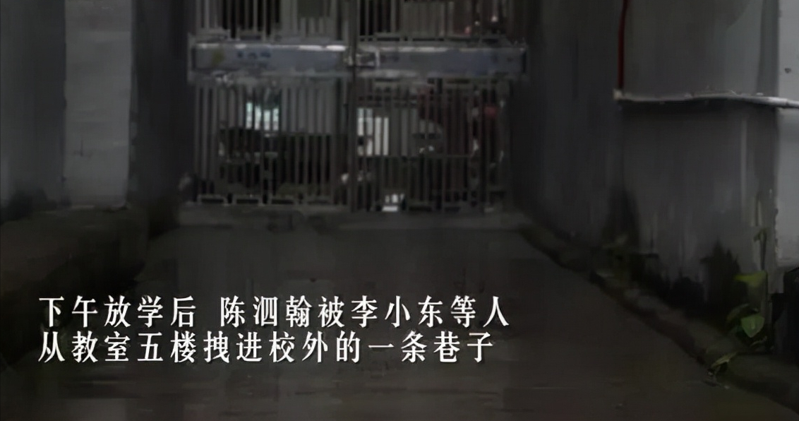 7年前，反杀校园霸凌者的十五岁少年陈泗翰，出狱后梦想成为律师