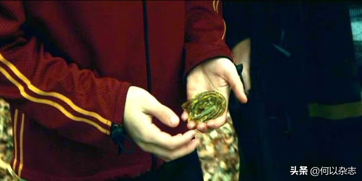《哈利波特与火焰杯》，被电影遗漏的十大要点