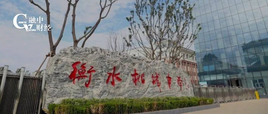 被停止招生的衡水桃城中学，竟然对外投资了2.4亿