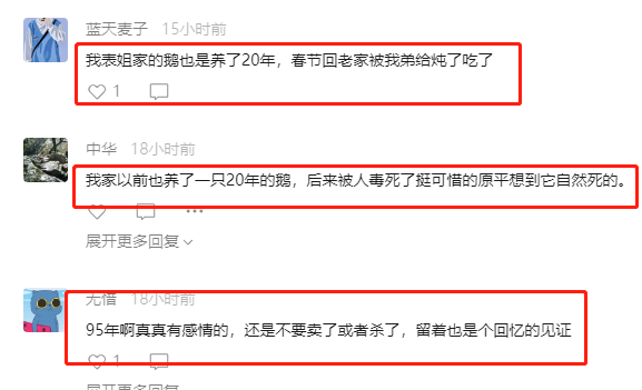 江苏一只鹅活了27年，农户称想让它慢慢变老，网友：比我年纪还大