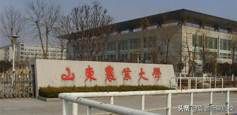 山东农业大学与青岛农业大学，同省的两所农业大学，你会怎么选？