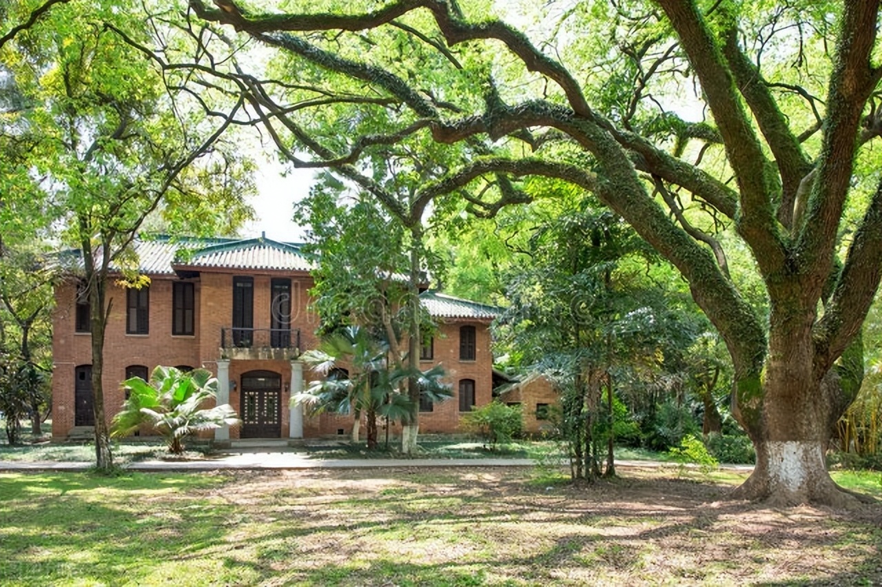 上海复旦大学和广州中山大学哪个更好？这篇文章分析得明明白白