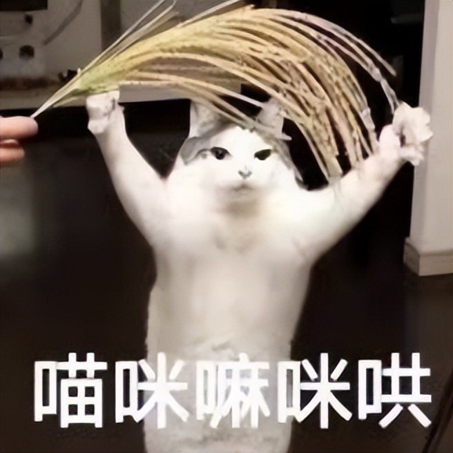 遥遥领先，华为手机里的宝藏APP你知道吗