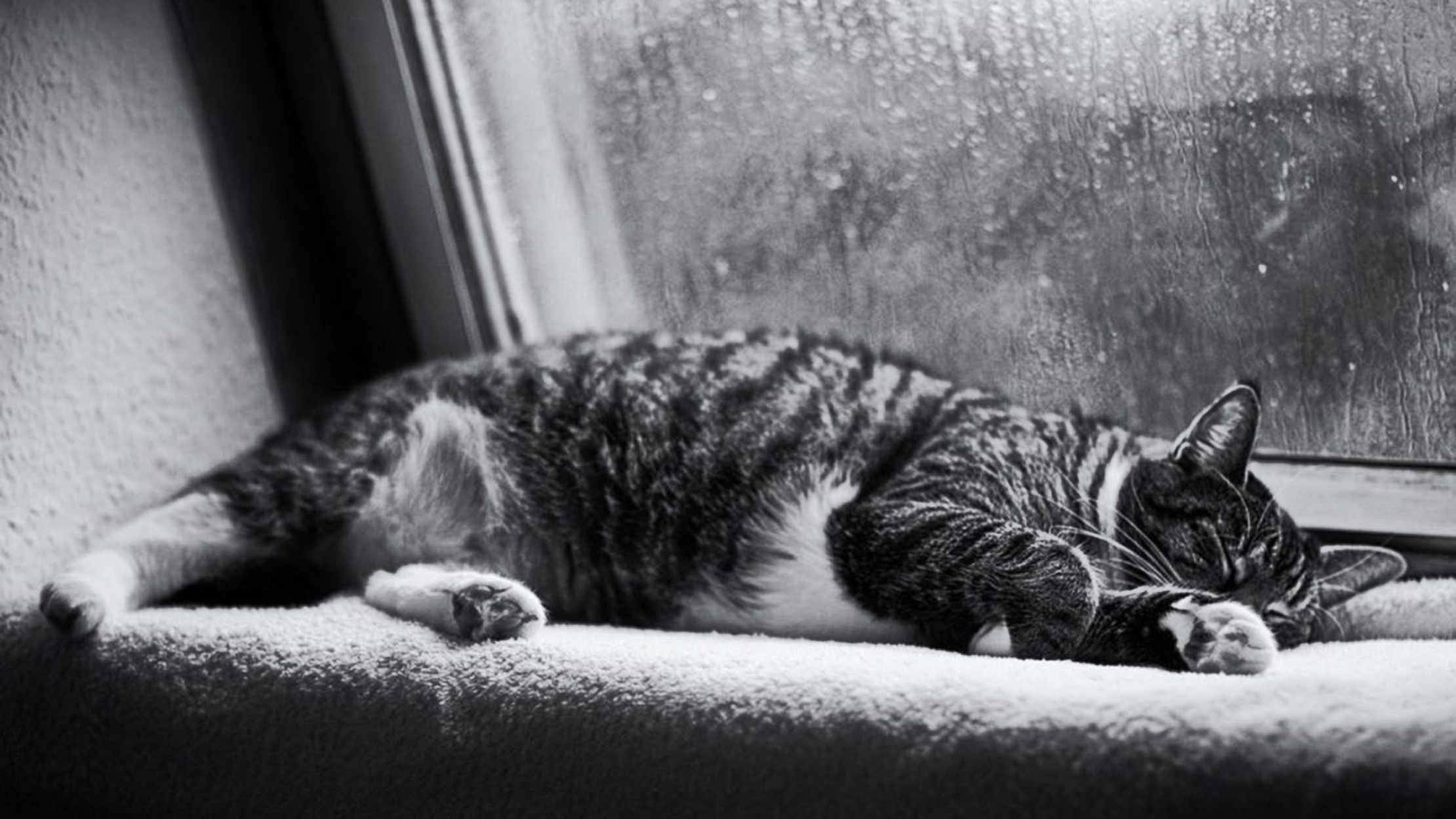 我曾经失眠五六年,陆续添置了7种助眠家居用品,现在感觉好多了