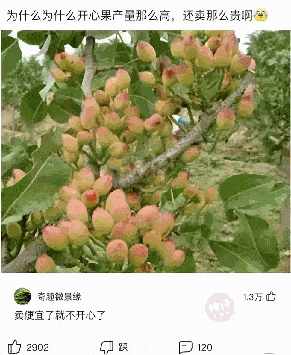 帅哥，你点的新娘到了，麻烦给个好评，祝你生活愉快