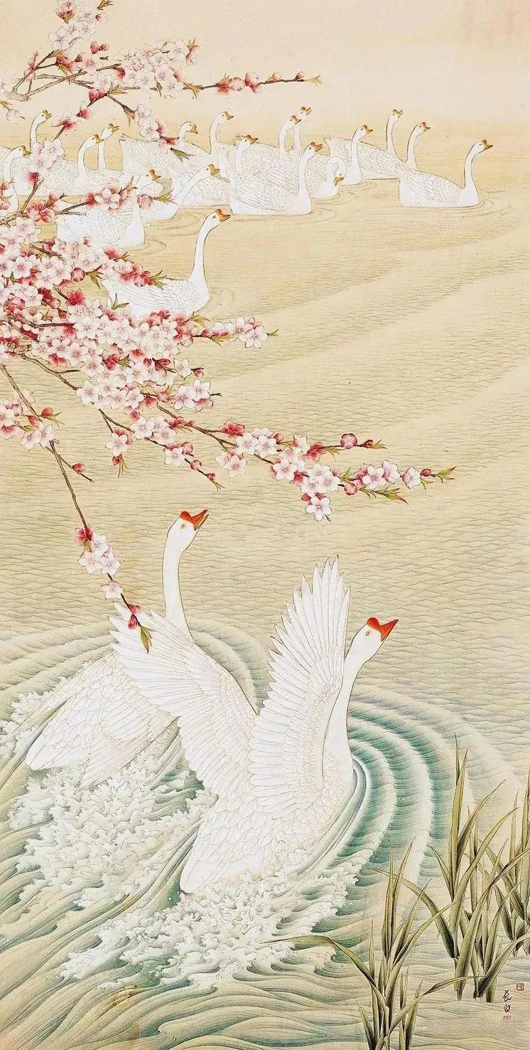 水中花白鹅，诗画溢欢歌：“白鹅”诗词20首，国画白鹅46幅