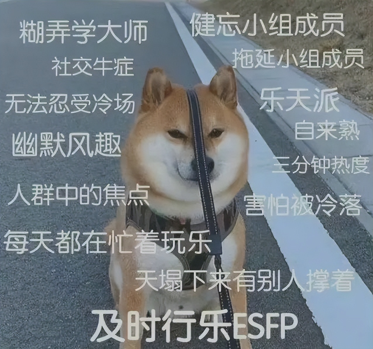 为啥一点也不科学的MBTI测试，有那么多人愿意信？