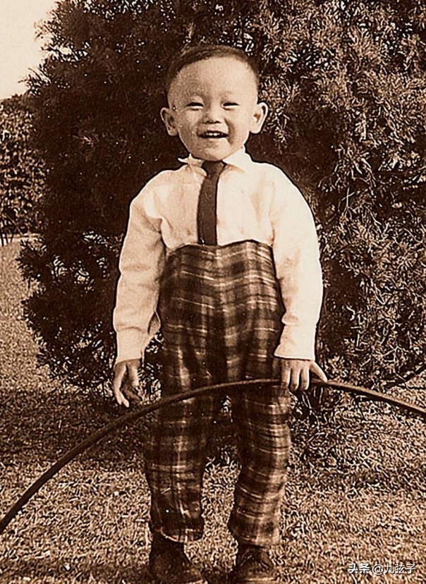 TVB“末代皇帝”林保怡的双面人生，57岁依然单身