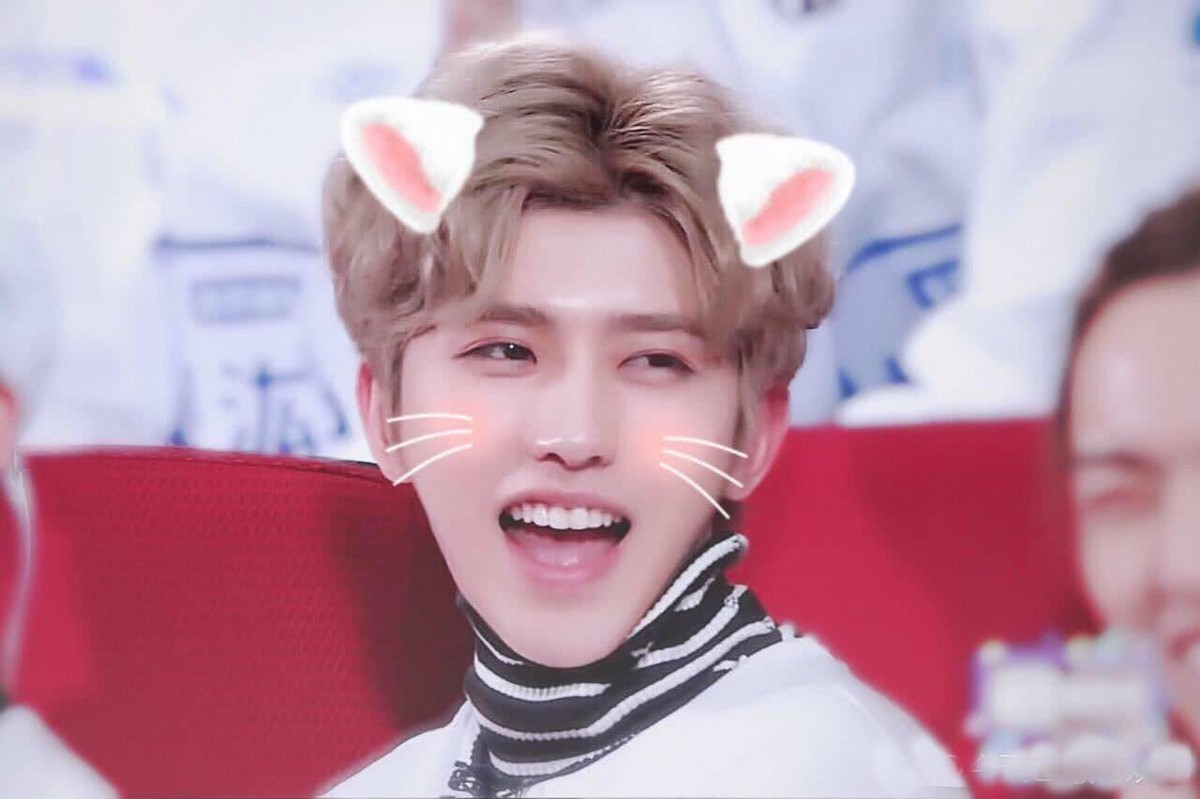 功夫片为何没落了？释小龙之后，再也没有优秀的武打童星了