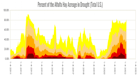 牛钱豆粕周报（2022.2.25.）