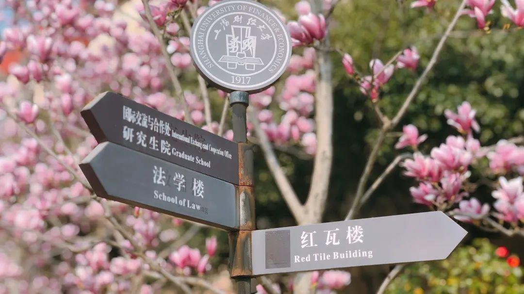 财经院校怎么选，实力强认可度高，这4所大学可要留意