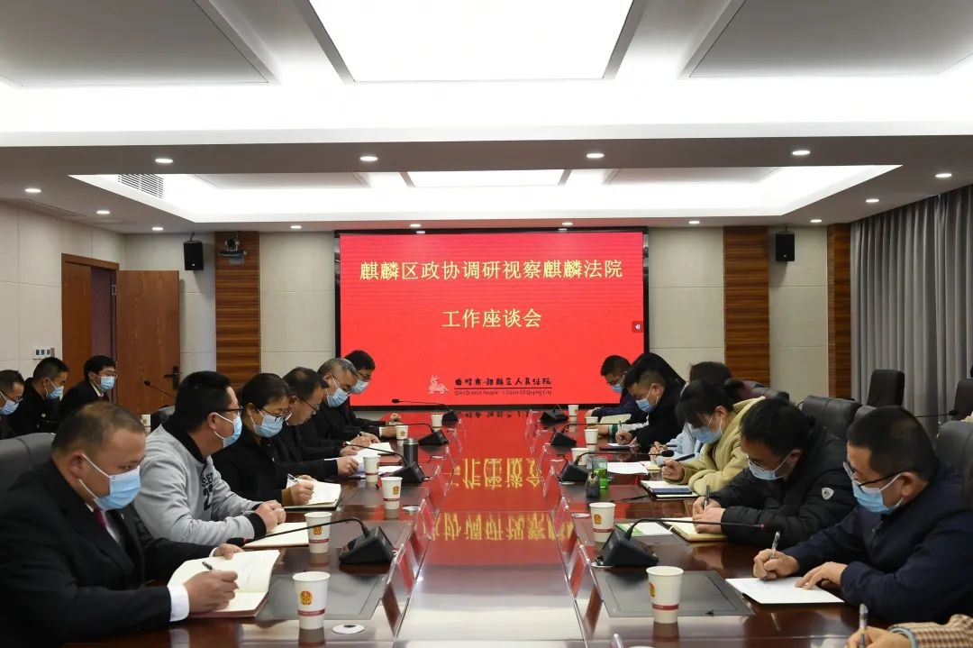 【代表委员】“为民有温度有速度有力度”麒麟政协委员充分肯定法院工作