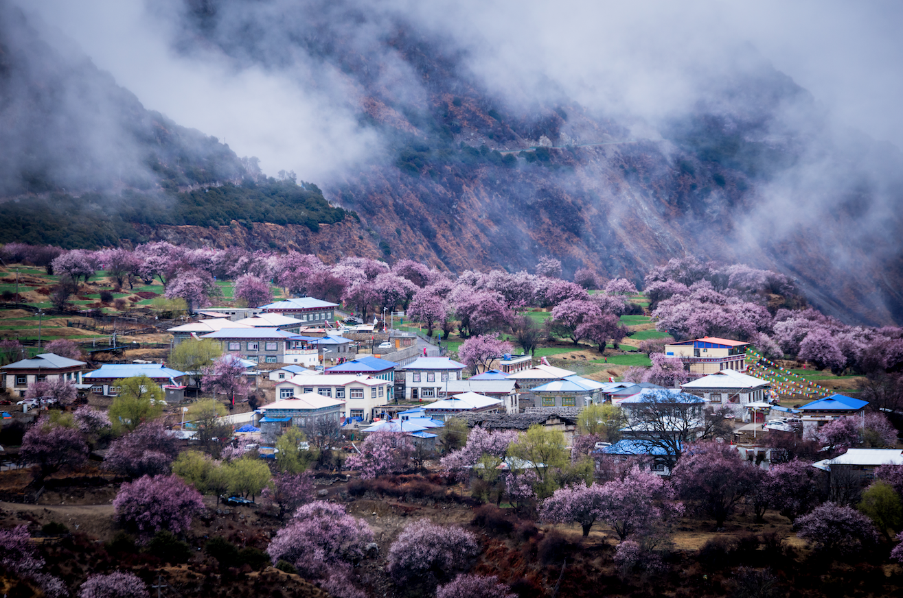 淡化门票经济，打破景区“围墙”，全域联动