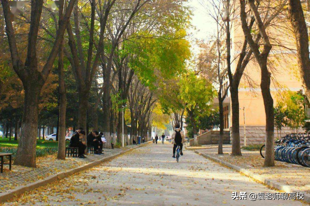 山东农业大学与青岛农业大学，同省的两所农业大学，你会怎么选？