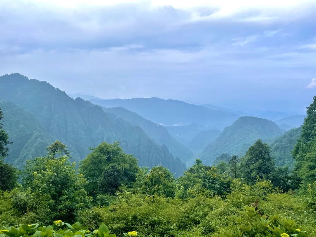 超詳細超實用！峨眉山2天1晚徒步攻略收藏起來慢慢看