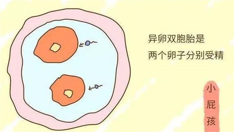 中国DNA鉴定第一人，入行22年，见证十余万家庭支离破碎