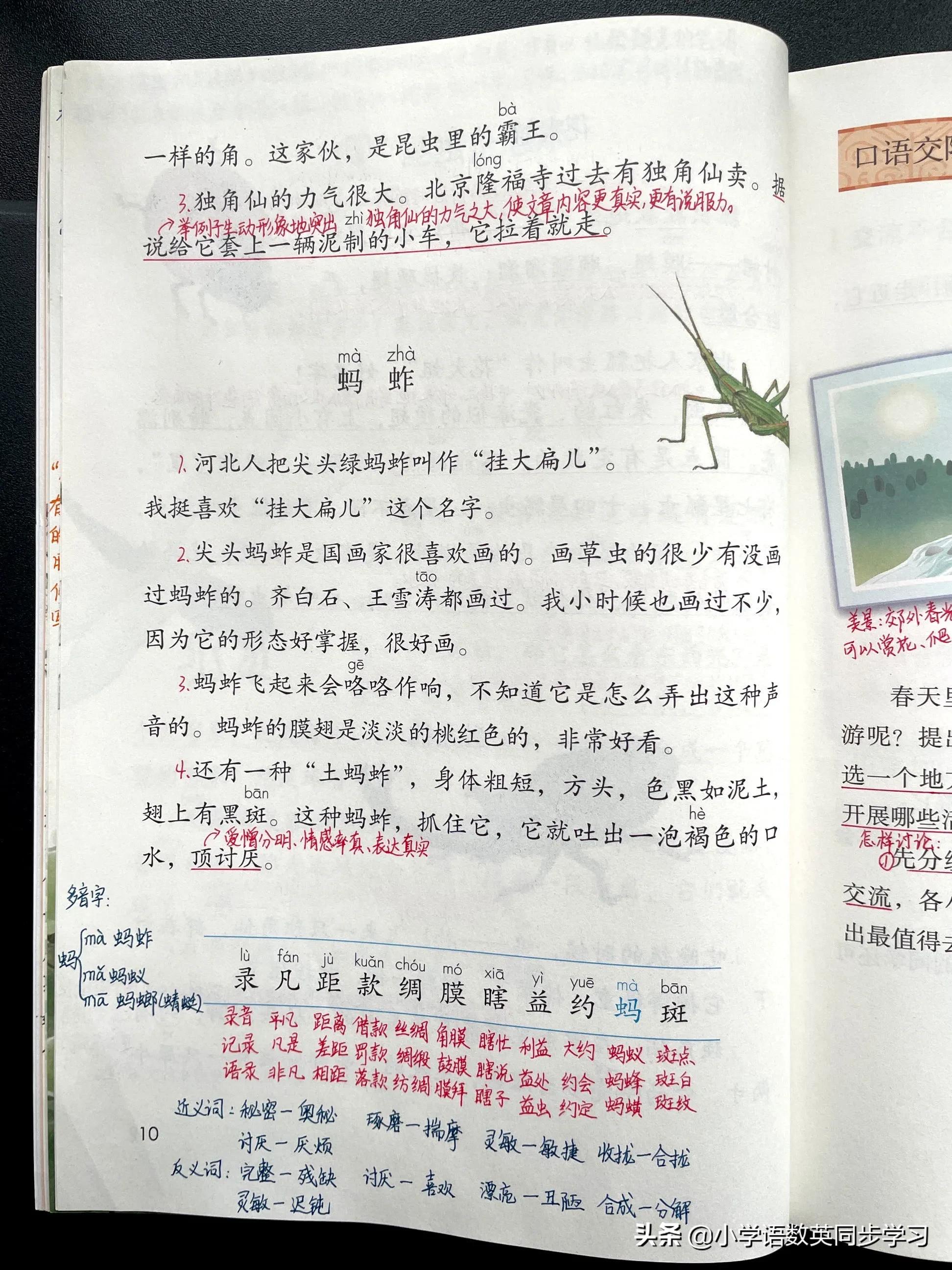 小学语文三年级下册第4课《昆虫备忘录》教师笔记