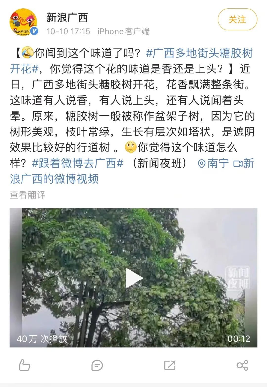 这种树开花太臭，南方人出门甚至不敢呼吸