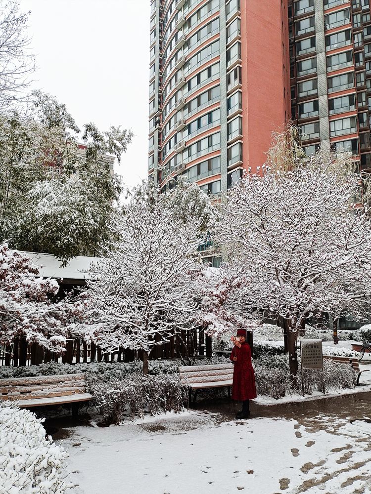 一场雪，让这里的春天真美 摄影/诗文：李武兵