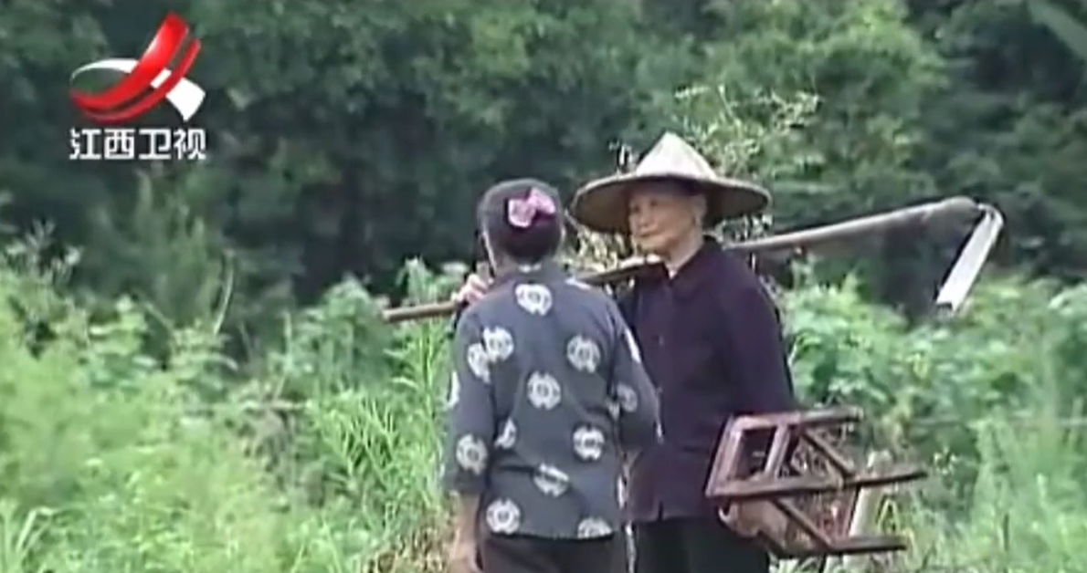 1990年江西村子突发怪病，10几天内村民接连病倒，家禽集体暴毙