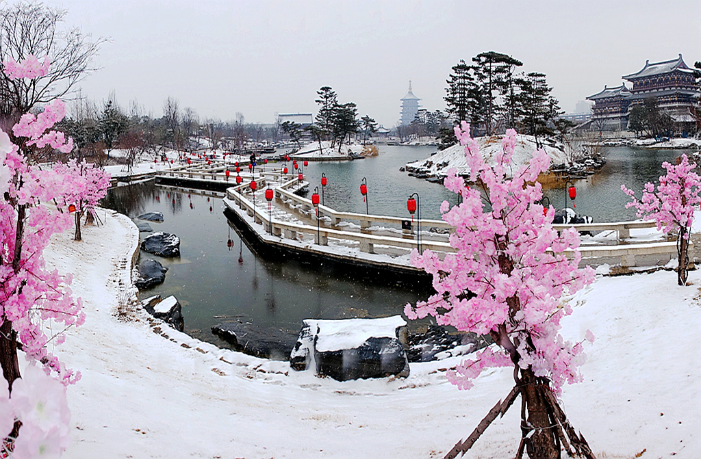 雪游九洲池