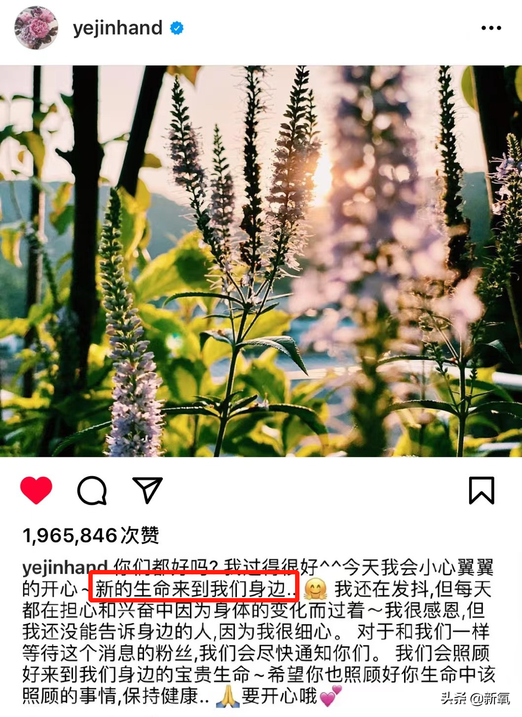 藏孕肚是顶流大婚前的必备技能？这么减肥对孩子颜值没影响吗…