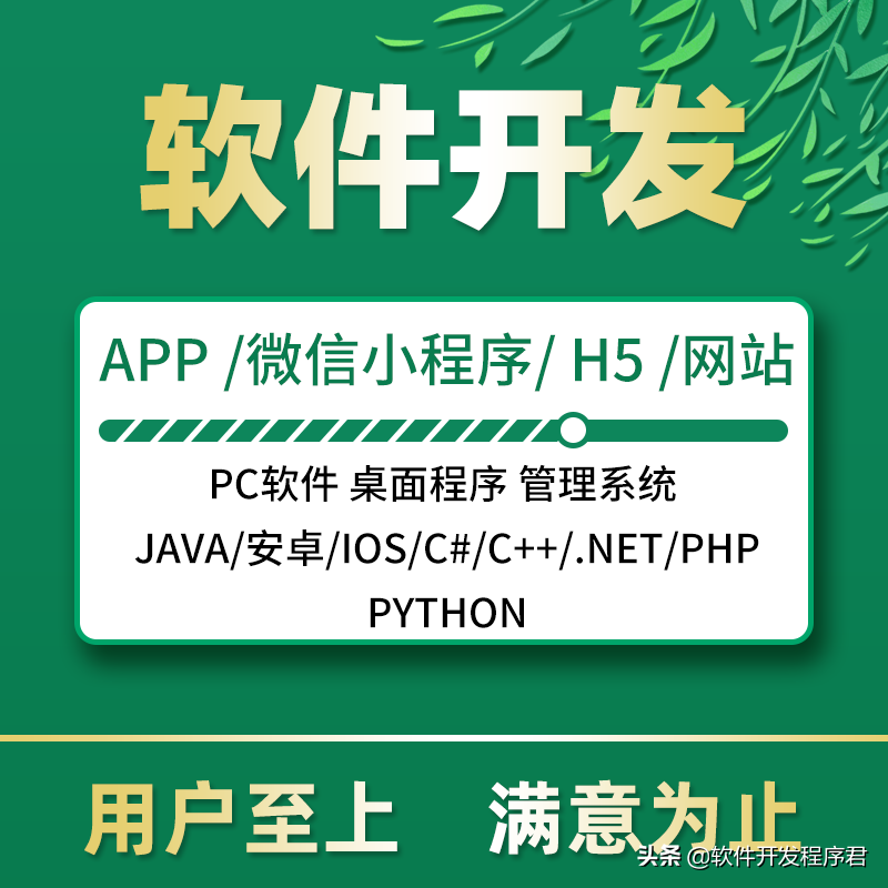 注册软件工程师（怎么样做软件开发）