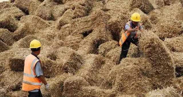 农民变身“经纪人”,秸秆囤1年就能赚600万?看懂的提前行动