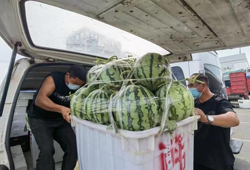 苏州南环桥市场西瓜销量突破1000吨