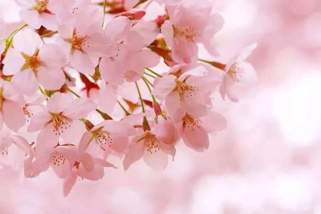 《年月日》——基于教学评一体化的课例设计