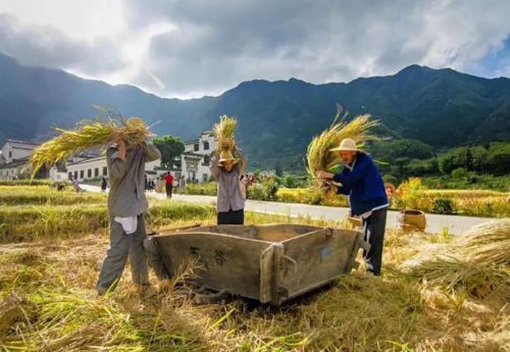 “有田不耕仓禀虚，有书不读子孙愚”这句家训多少人还在遵照？