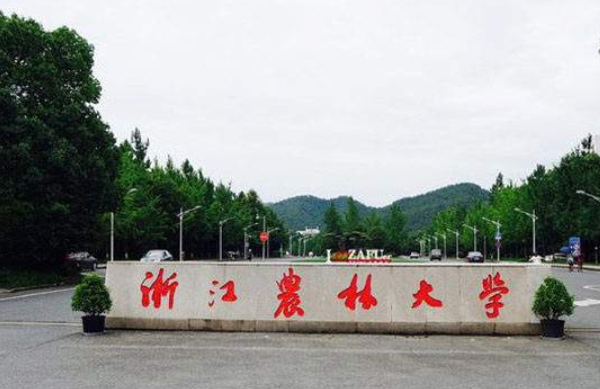 “背母上学”感动中国的刘霆，10年后变成美女，不少网友表示理解