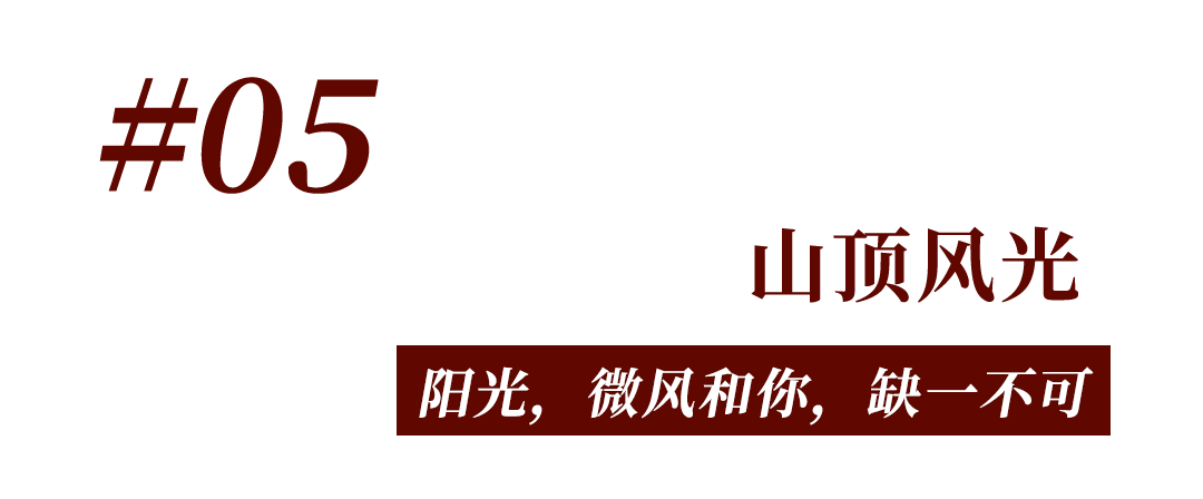 岳麓山，“枫”了！