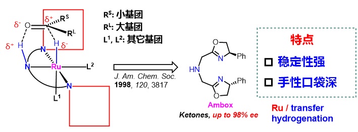 南方科技大学张绪穆教授近年来工作概览