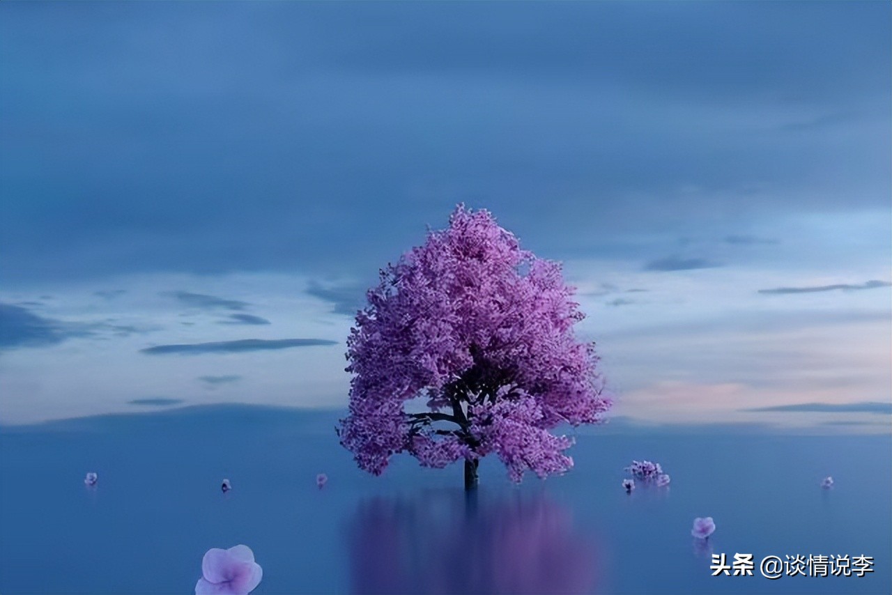 当你觉得很苦的时候，读一读这3段话，一切都会过去的