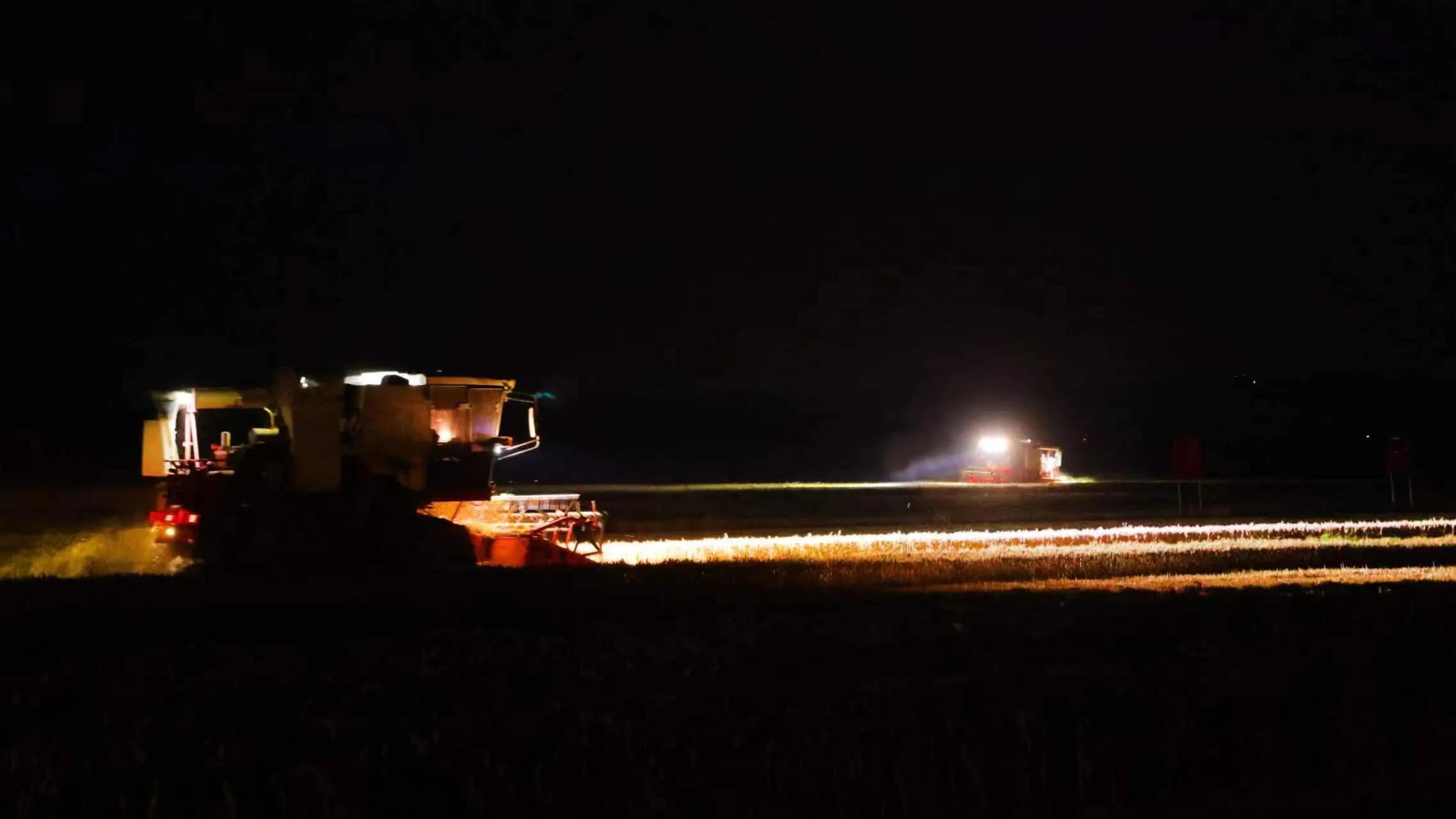 合阳县：应对不利天气，连夜抢收小麦