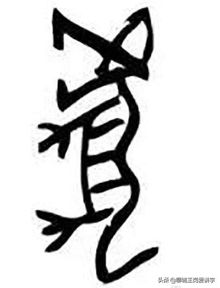 新年说虎：关于虎的知识你知道多少？还是古典文化有底蕴